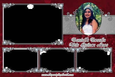 Danielle Rosalie Mis Quince Anos