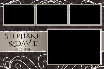 Stephanie & Davids Wedding